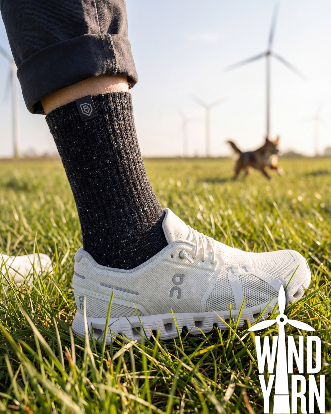 Wind Energy