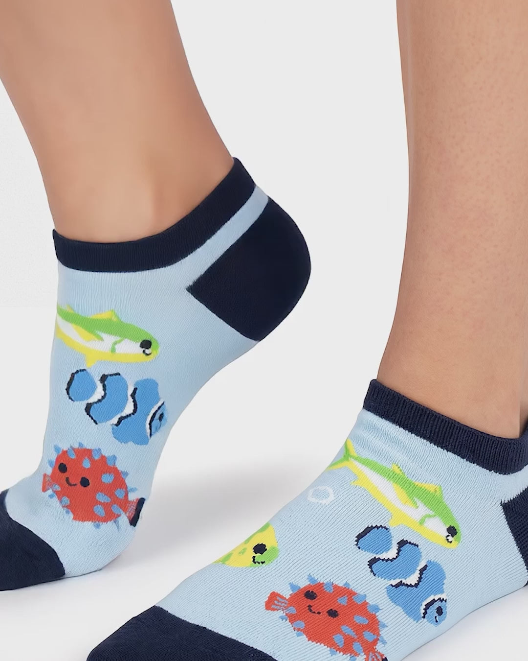 Load video: Socksop Fish - Video