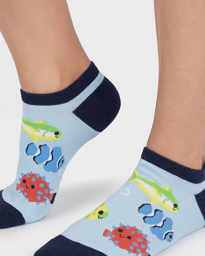 Socksop Fish - Video