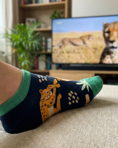 Socksop Forest ankle socks at home — navy pair styled with botanical indoor cue