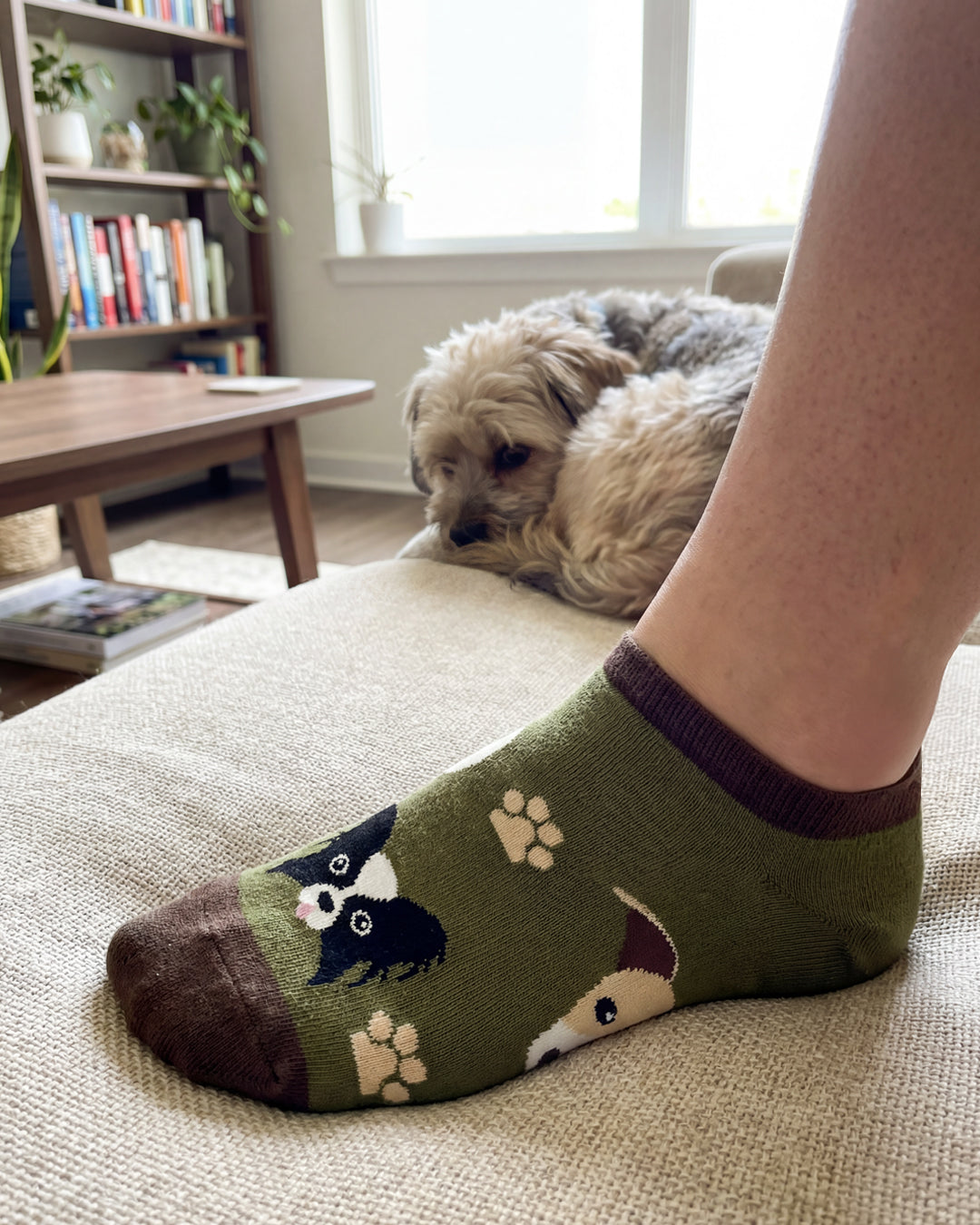 Socksop Paw ankle socks at home — olive pair styled with cozy pet-loving indoor cue